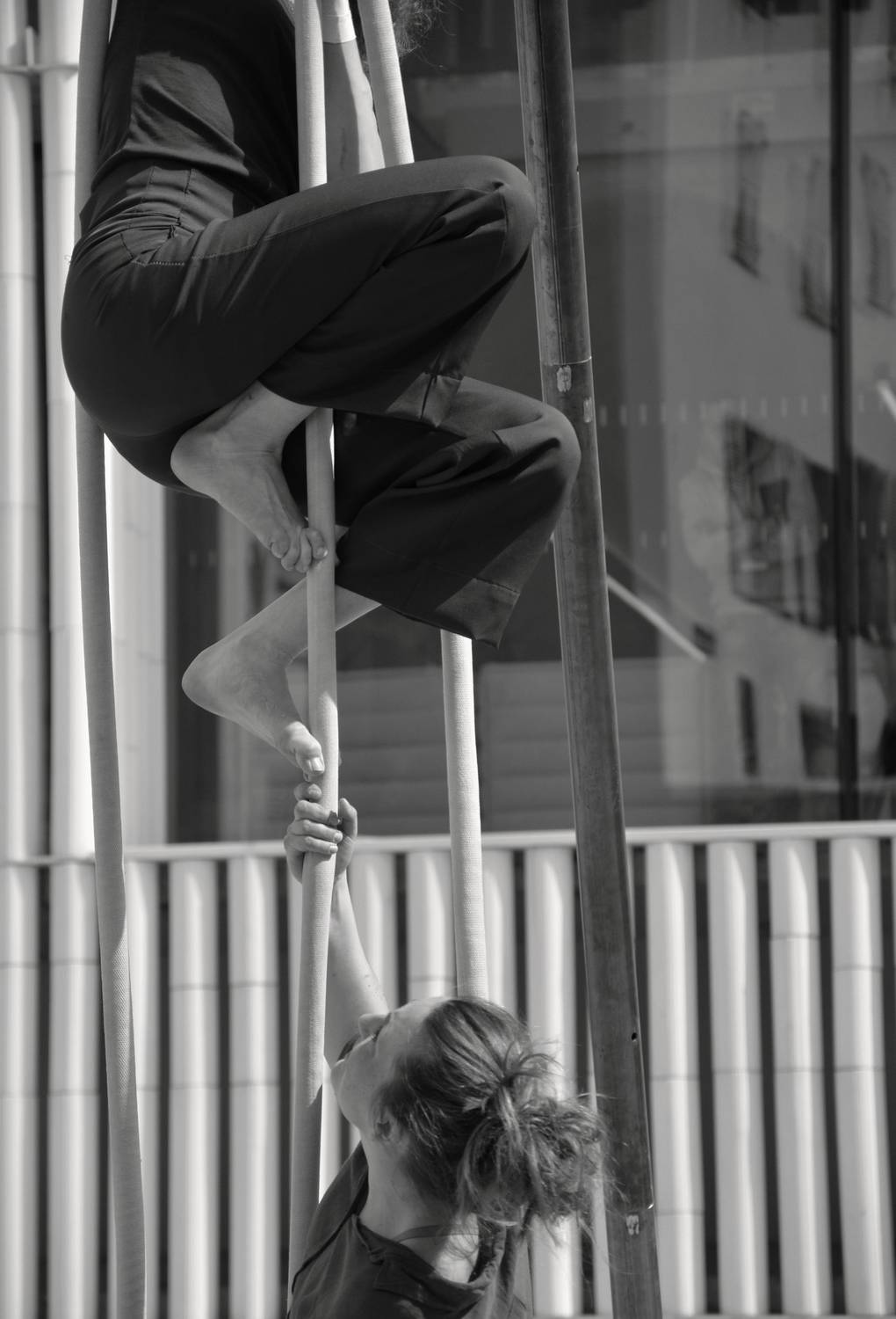 la compagnie L'encordée ; Les arts du cirque ; Valderoure ; Harpèges