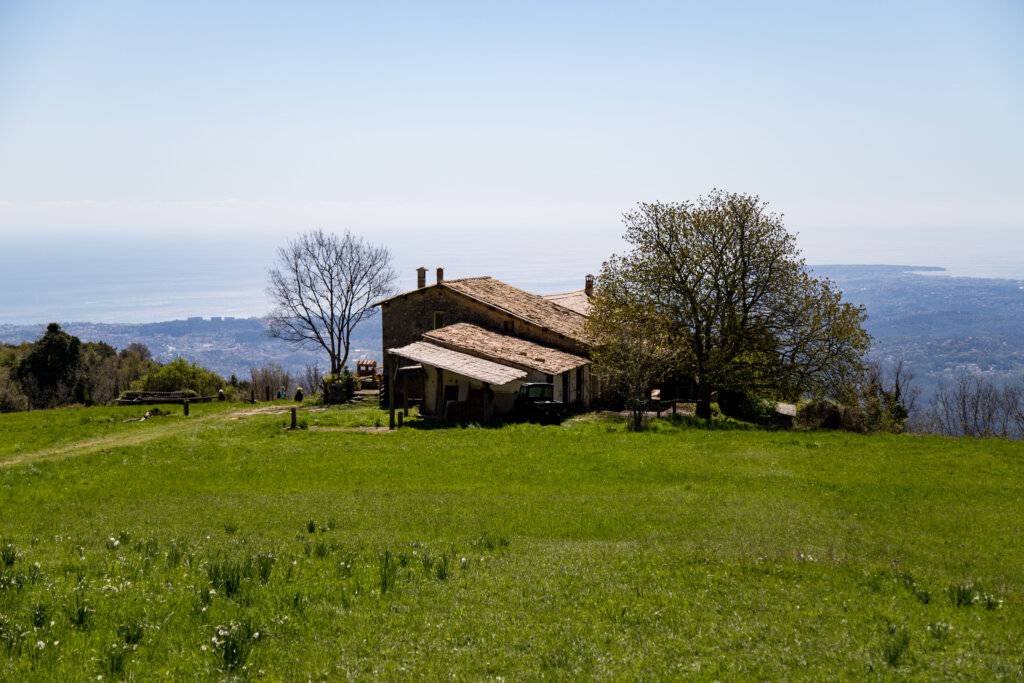 Appel à manifestation d’intérêt ; Domaine du Caire ; Tourrettes sur Loup : Valorisation ; protection ; réaménagement