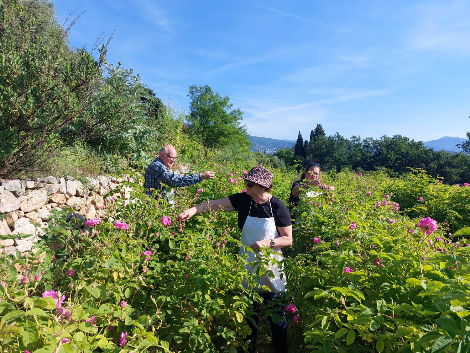 Valorisation de l'agritourisme sur la Côte d'Azur Le CRT Côte d'Azur France, le Département des Alpes-Maritimes et la Chambre d'Agriculture s'engagent