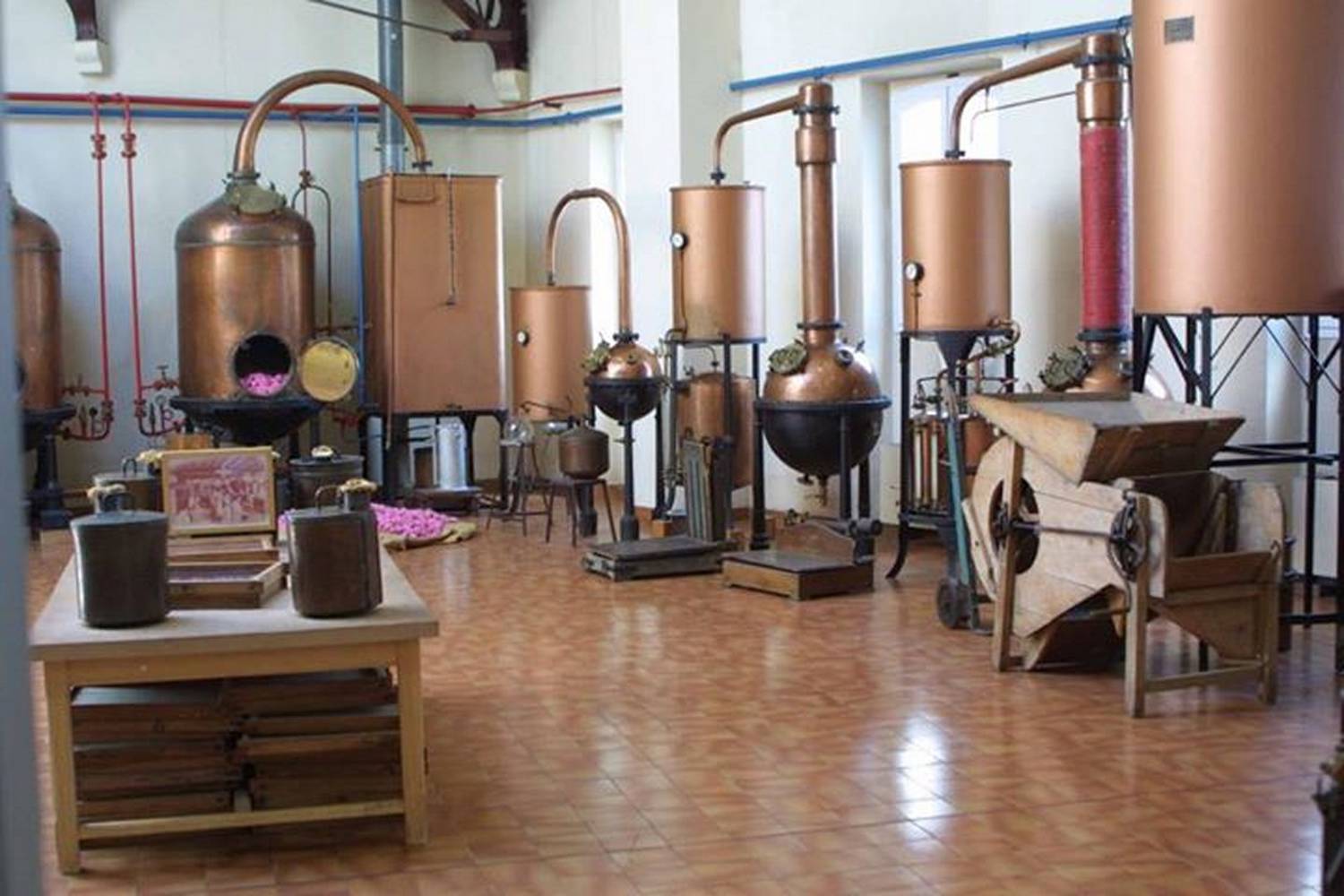 Visites guidées ; Grasse ; Parfumerie ; Savoir-faire ; Industrie ; Patrimoine ; Fleurs à parfum ; Guides-Conférenciers. Guided tours ; Grasse; Perfumery; Expertise ; Industry ; Heritage ; Perfume flowers; Guides-Speakers.