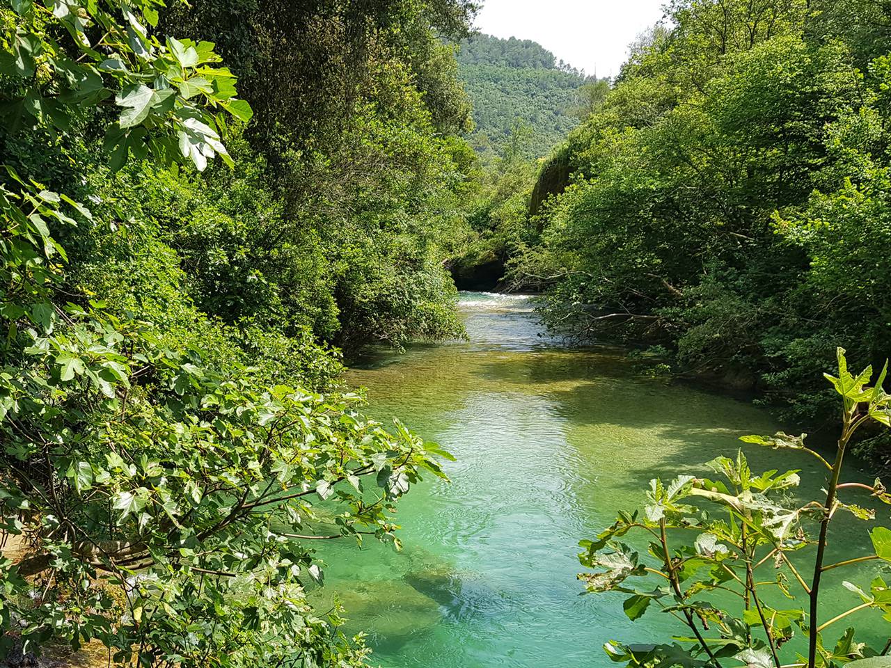 Canal de belletrud ; Eau ; environnement ; Cabris ; Peymeinade ; Le Tignet ; Spéracèdes ;  Saint-Cézaire-sur Siagne ; Pierre Bornet ; Jérôme Viaud ;