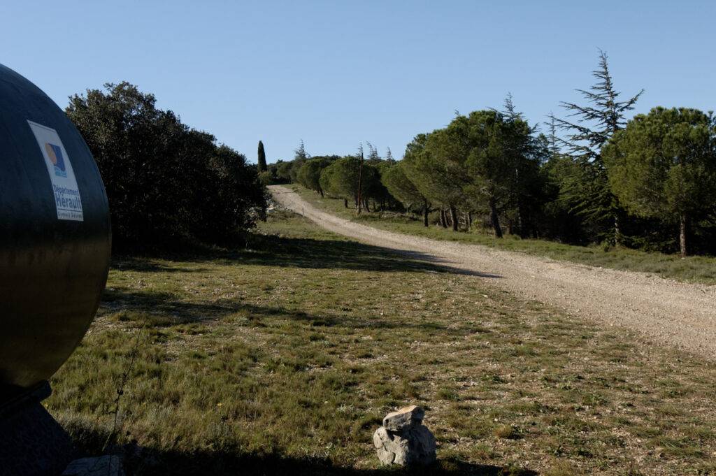 Feux de forêt, maintenant on fait quoi ? ONF