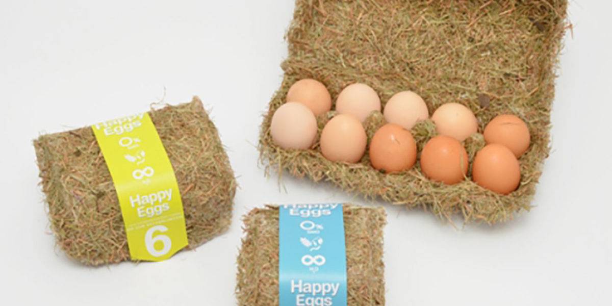 Green Beauty & Packagings éco-responsables