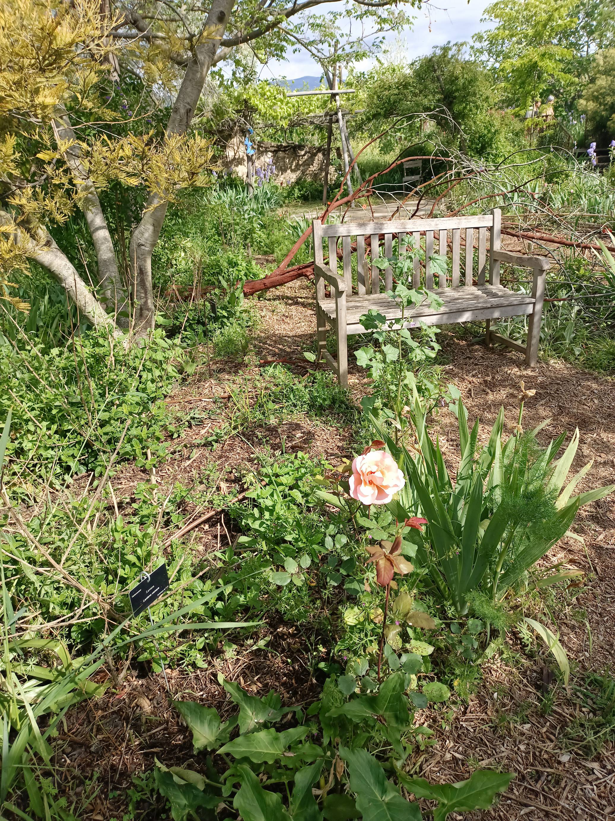 Les Jardins du MIP vous ouvrent ses allées Un havre de paix pour tous