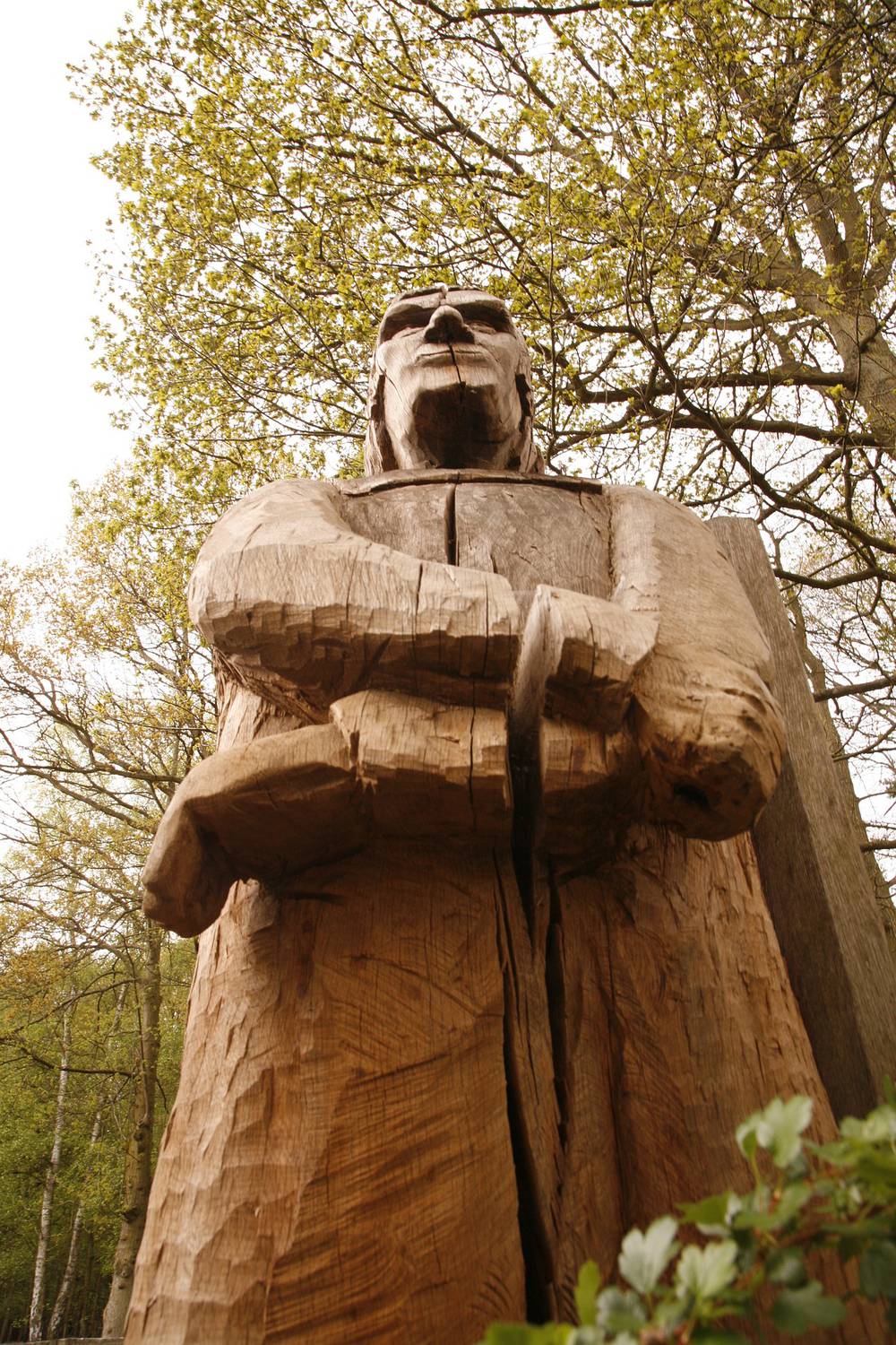 15ème Fête de la Forêt et dau Bòsc ; La Martre ; rémouleur / affûteur ; sciage de bois ; compostage ; jeux en bois ; Soupe au Pistou ; sculpture à la tronçonneuse ; produit du terroir ;