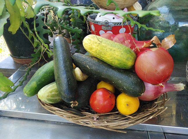 Marche De Noel Saint Cezaire Sur Siagne Grasse Mat' - Marché provençal