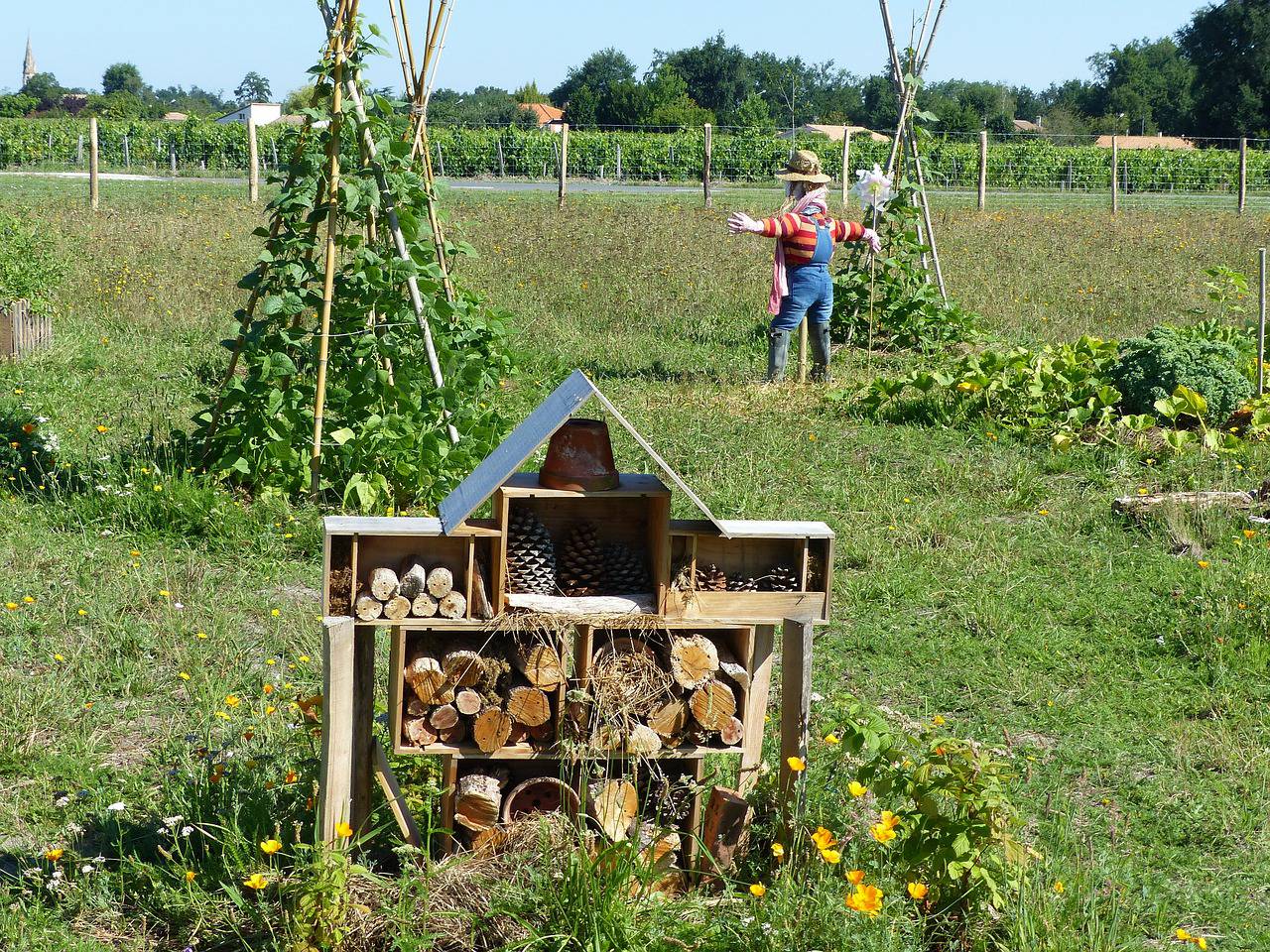 AgriBio; Collongues; Exposure ; Conferences; Yoga; Animation ; Agroforestry; Peasant feast;