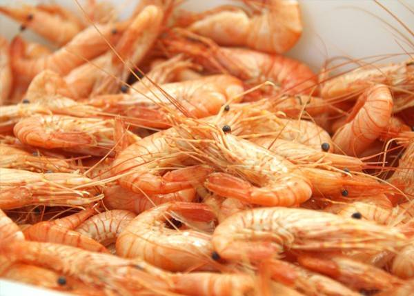 Crevettes sautées ail et persil