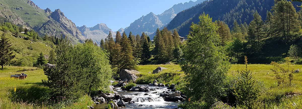 La Semeuse : 120 Ans d'Histoire Enfouis pour le Futur Véritable plongée dans le futur