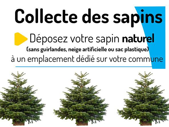 Collecte des sapins de Noël,