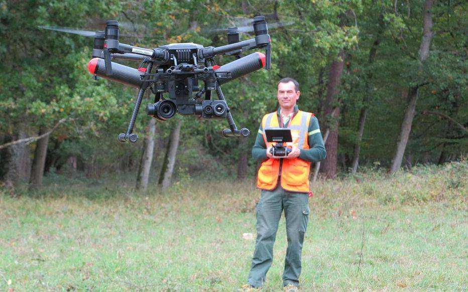 La Forêt s’Invite Chez Vous