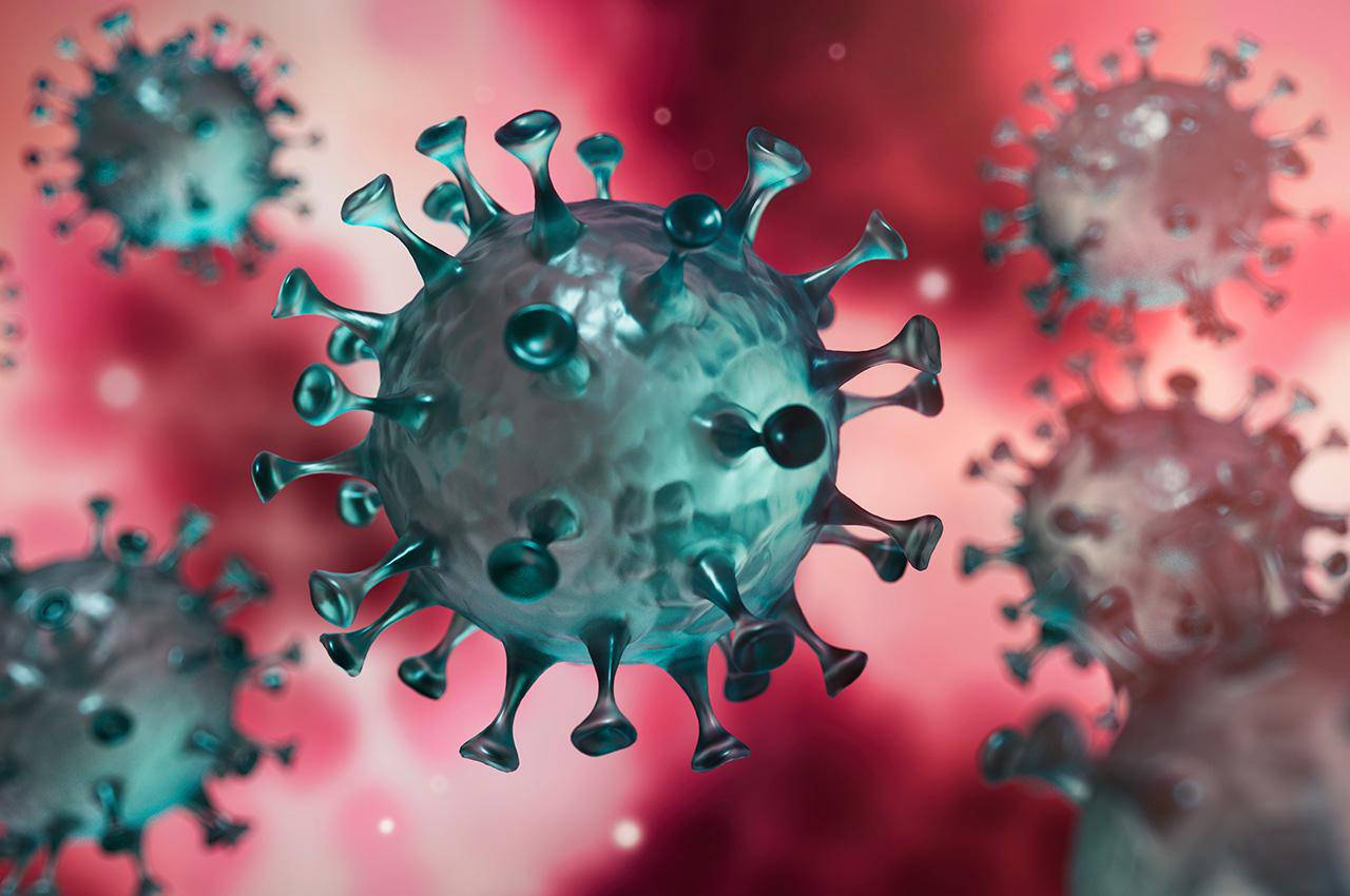 virus, vaccination