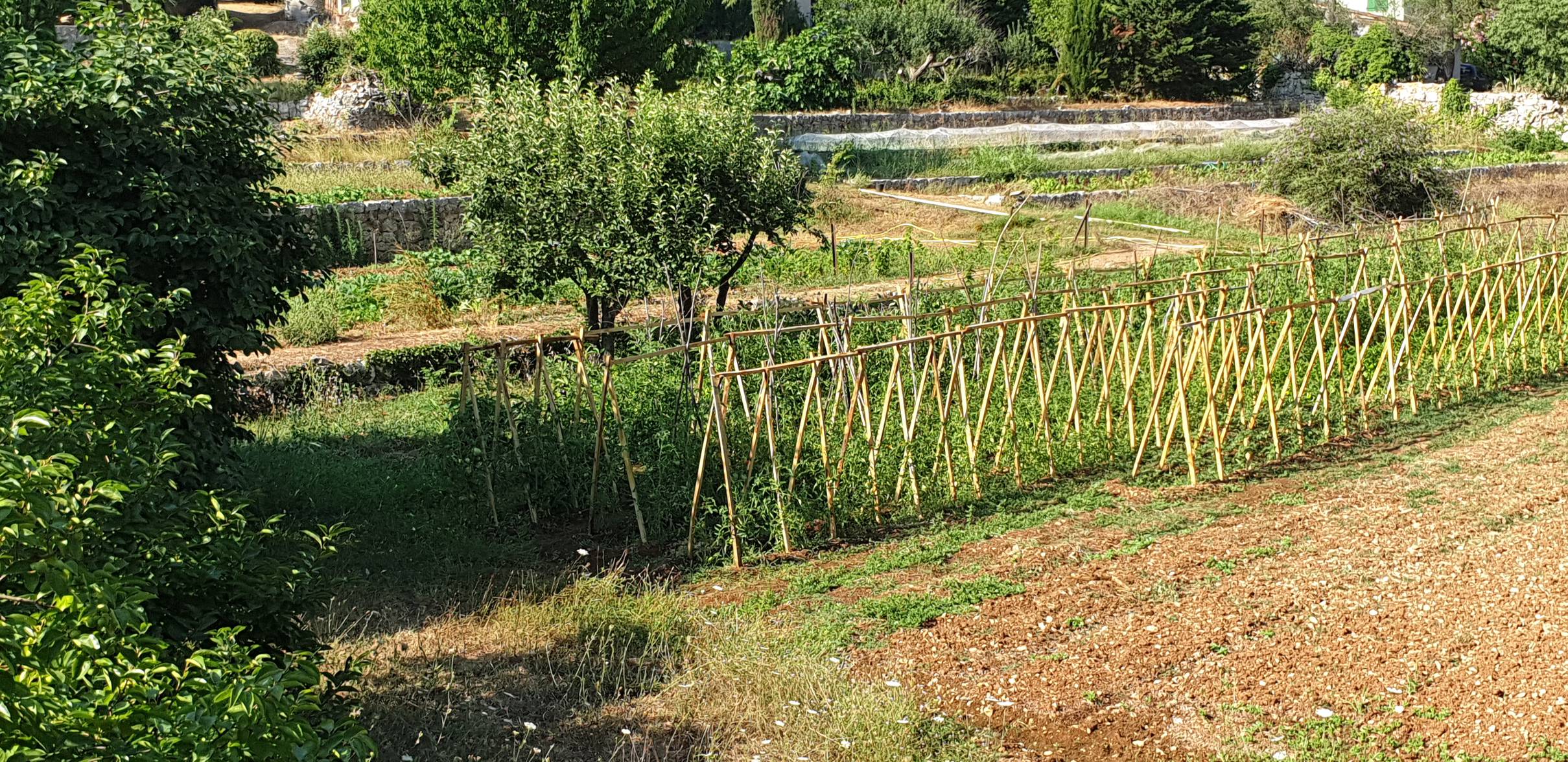 AgriBio 06 ; foire ; marché bio ; animations ; Antibes ; Pierre Koffi Alanda ; Campus vert ; cuisine collaboratif ; tracteur a énergie solaire ; jeux en bois ;