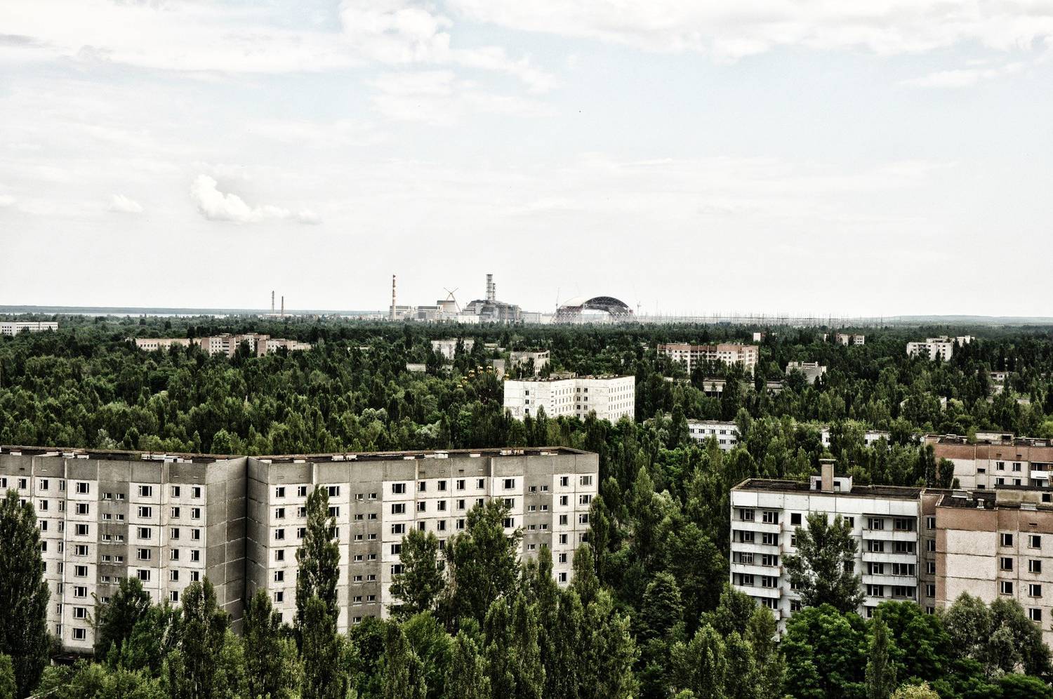 Le cheval de Przewalski et Tchernobyl