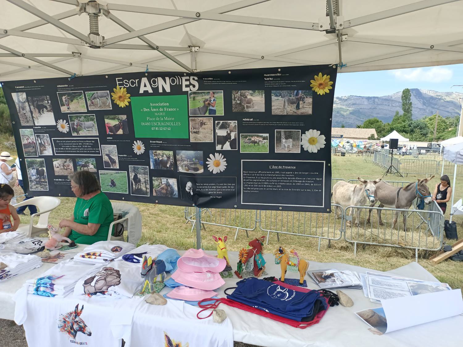 Escragnolles en Fête Une Journée Conviviale Autour de l'Âne