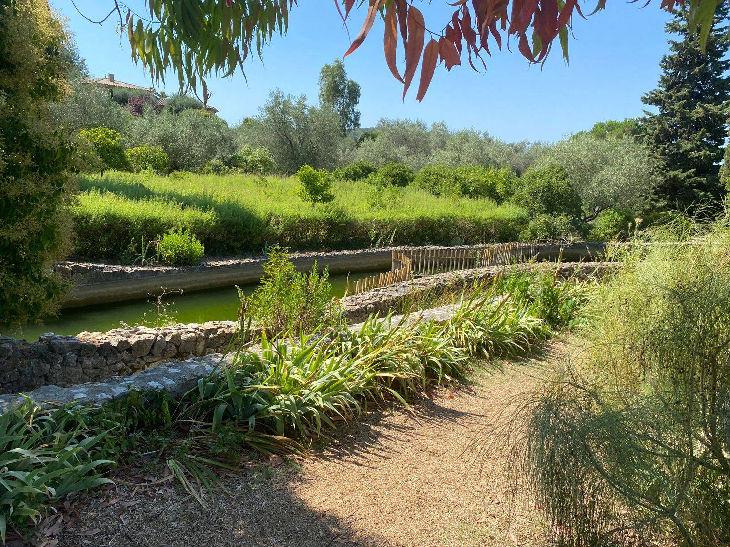 ASFO Grasse fête ses 50 ans ; Grasse ; Jérôme Viaud ; Philippe Massé ; jardins du MIP ; Prodarom ; Chimie fine ; Parfums ; Grasse Campus