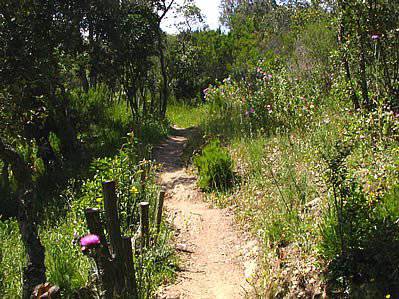 L’arboretum de Gratteloup