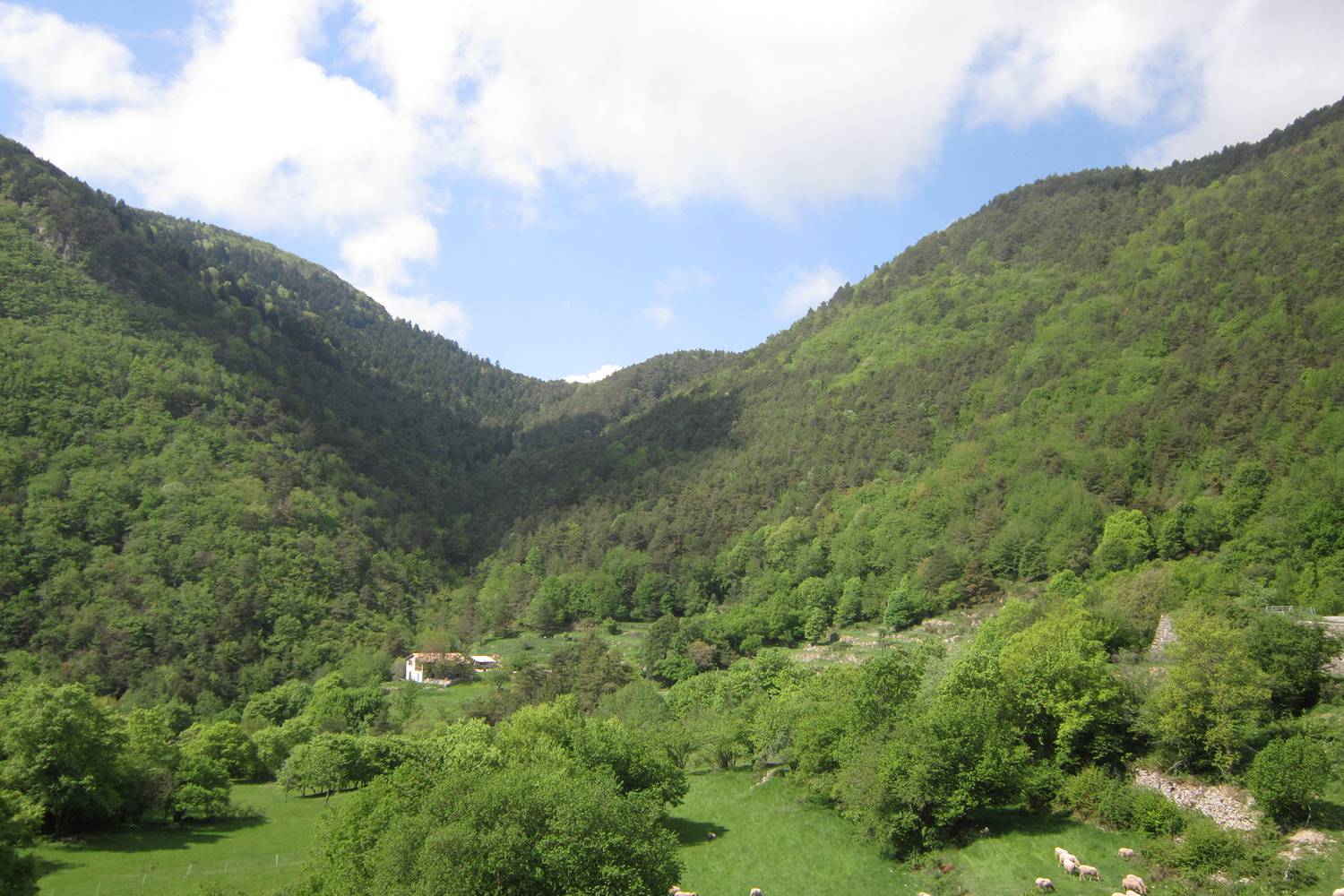 Randonnées pédestres; Le Mangiapo; Vallée de la Roya;