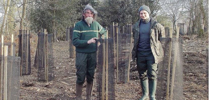 La Forêt s’Invite Chez Vous