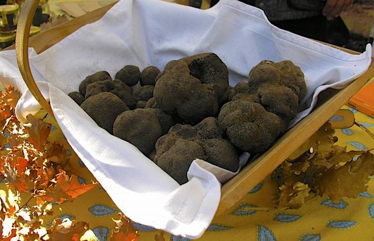 rendez-vous des gourmets; marché de la truffe ; Grasse ; Bastide Saint-Antoine ; Jacques Chibois ; Jérôme Viaud ; Le Rouret