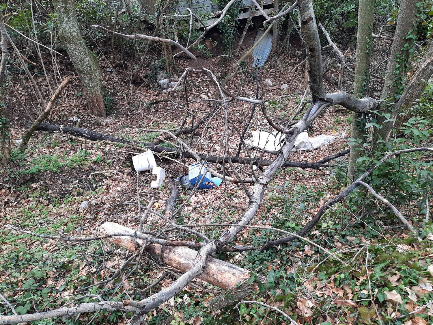 400kg de déchets  Les Trashbusters ont encore frappés !