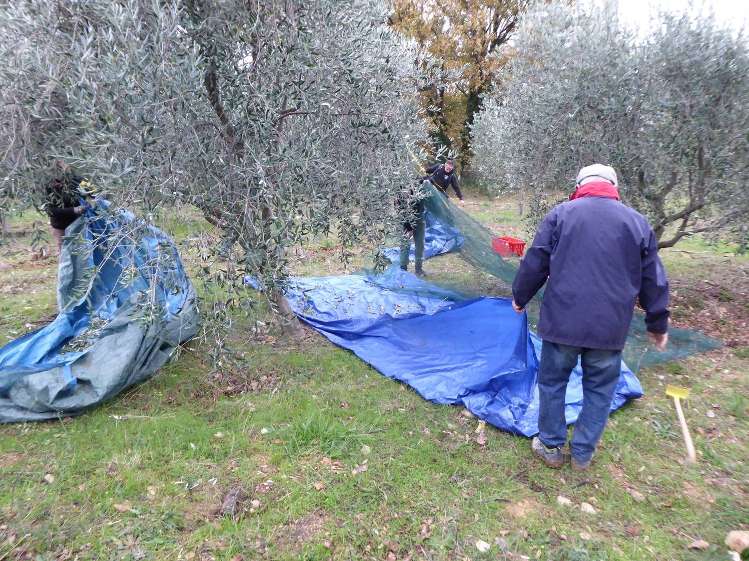 Distribution d’huile aux bénévoles.