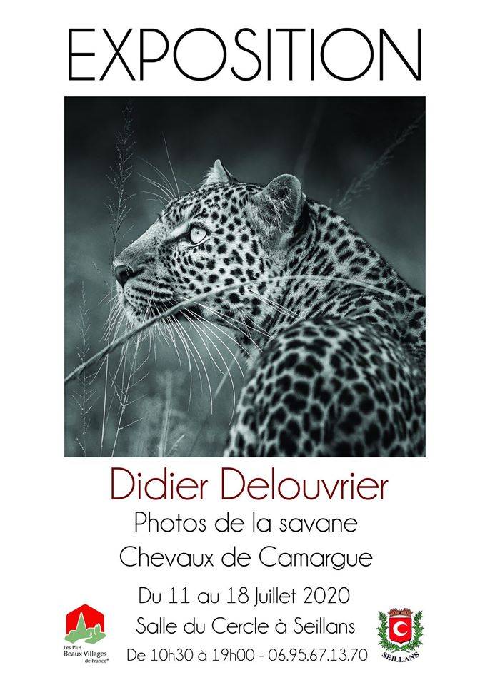 Exposition De Photos De Didier Delouvrier