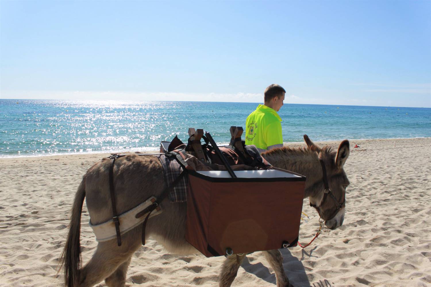 ânes, plage