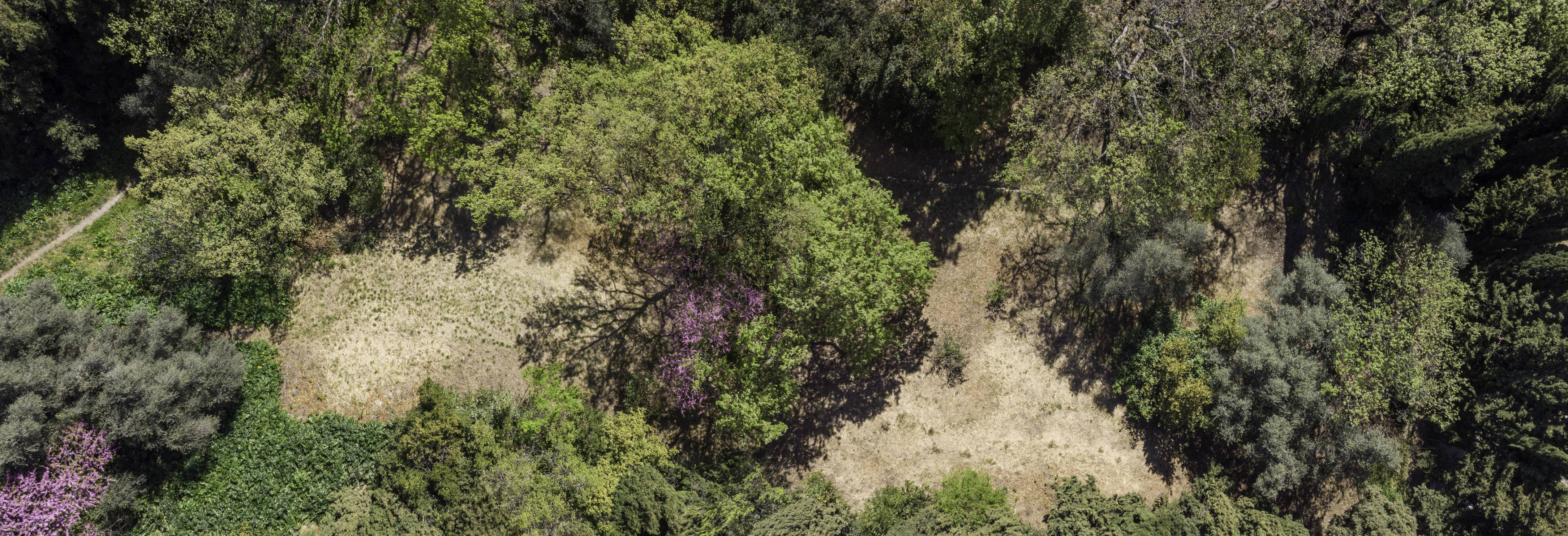 Jardin de plantes à parfum, Prodarom, Asfo Grasse